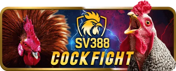 Cá cược thể thao ga179 win